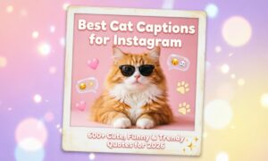 Best Cat Captions for Instagram: 600+ Cute, Funny & Trendy Quotes for 2026